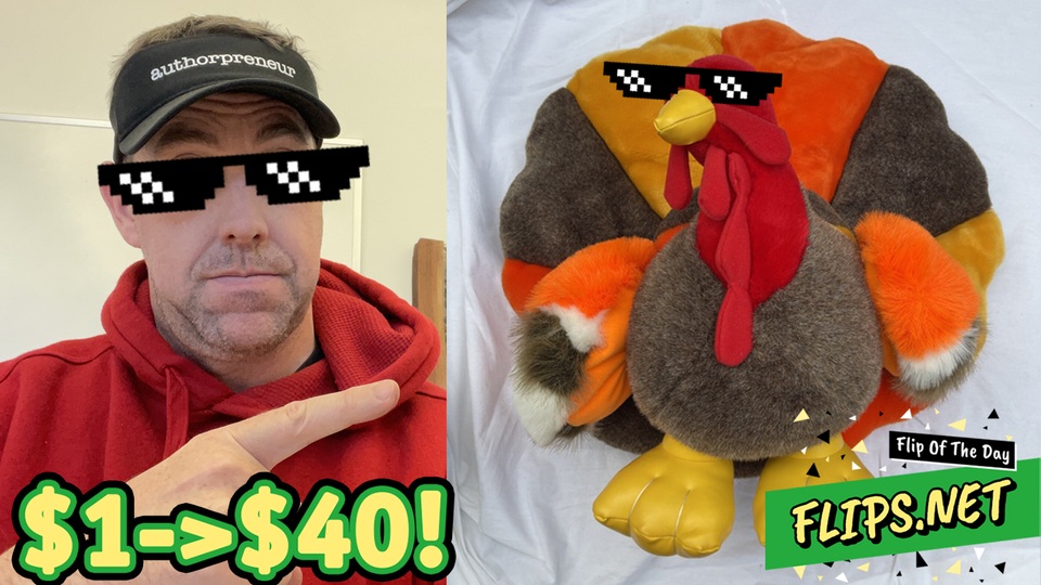 Flip Of The Day #33: Chrisha 18" Plush Turkey